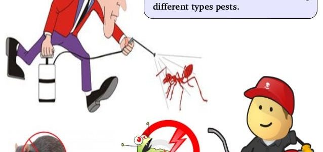 Different Types of Pest Control Methods